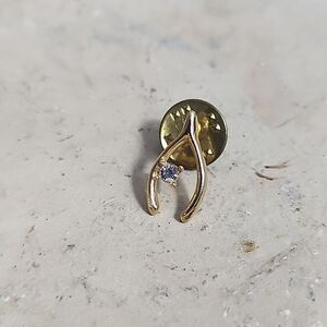 Make A Wish! Wishbone and Rhinestone Lapel Pin